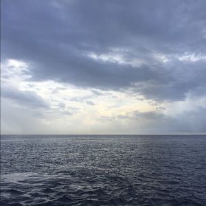 Meet your Posher, Kassidy